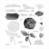 158212  set de tampons Havre d’hortensias hydrangeas stampin'up fleurs scrap carterie loisirs créatifs jardin sonia démonstratrice vente en ligne
