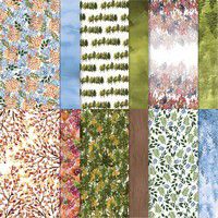 155841 papier de la série Design La terre en beauté srabre stampin up carterie nature automne album