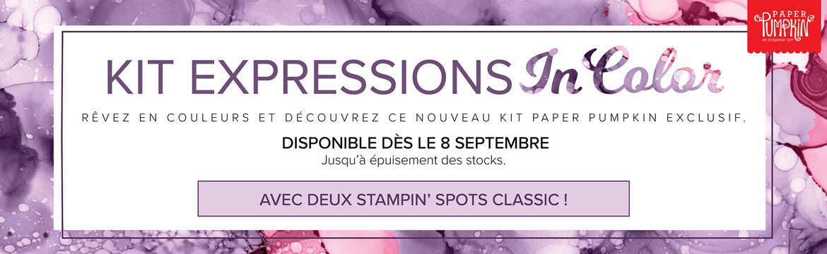 kit Paper Pumpkin Expressions In Color cartes créatifs cadeaux idée stampin up france europe