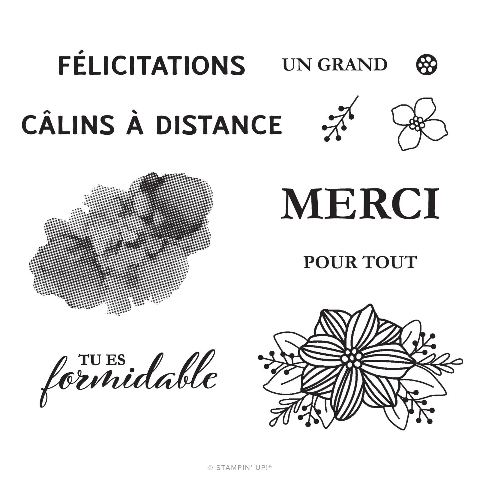 158478 kit Paper Pumpkin Expressions In Color set de tampons en résine Expressions In Color