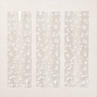 151312 sacs en cellophane à soufflets 3" x 9" (7,6 x 22,9 cm) stampinup alimentaire deco décoration de table friandise france