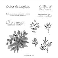 157826 set de tampons Jardin d’Éden Stampinup scrap carterie loisirs créatifs  diy fourniture