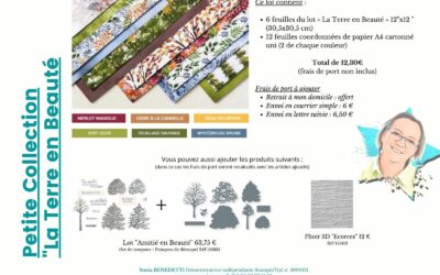 Les petites collections de Sonia