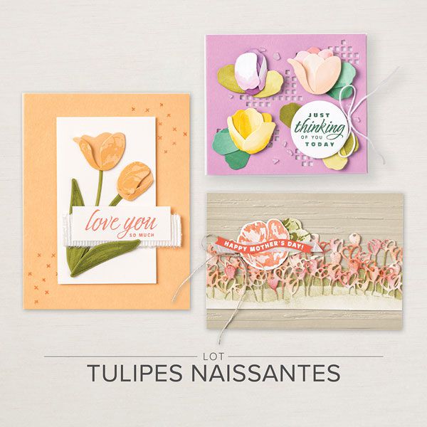 157679 lot Tulipes naissante stampin up scrap fleurs relief 3D france normandie nouveautés  scrapbooking carterie