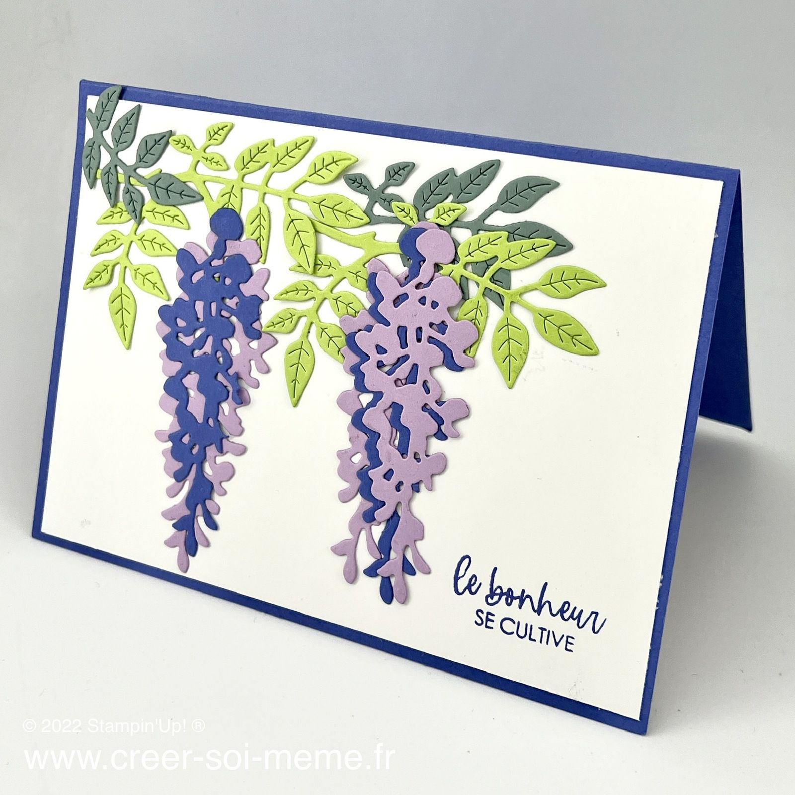 158861  sous les glycines stampin up tampon decoupe die scrap