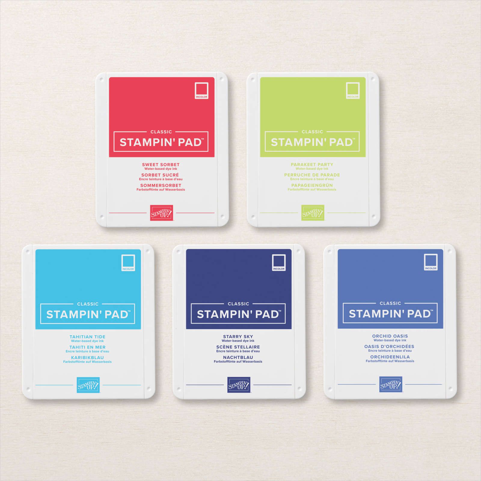 161108 ASSORTIMENT DE TAMPONS ENCREURS CLASSIC IN COLOR 2022-2024