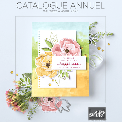 catalogue stampin up 2022 2023 france sonia demonstratrice loisirs créatifs scrap carterie normandie eure calvados seine maritime diy encre tampons papier poinçons die découpe perforatrice