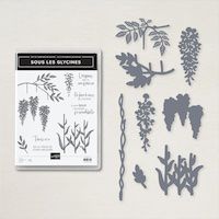 158861 lot Sous les glycines stampin'up p france sonia demonstratrice scrap diy