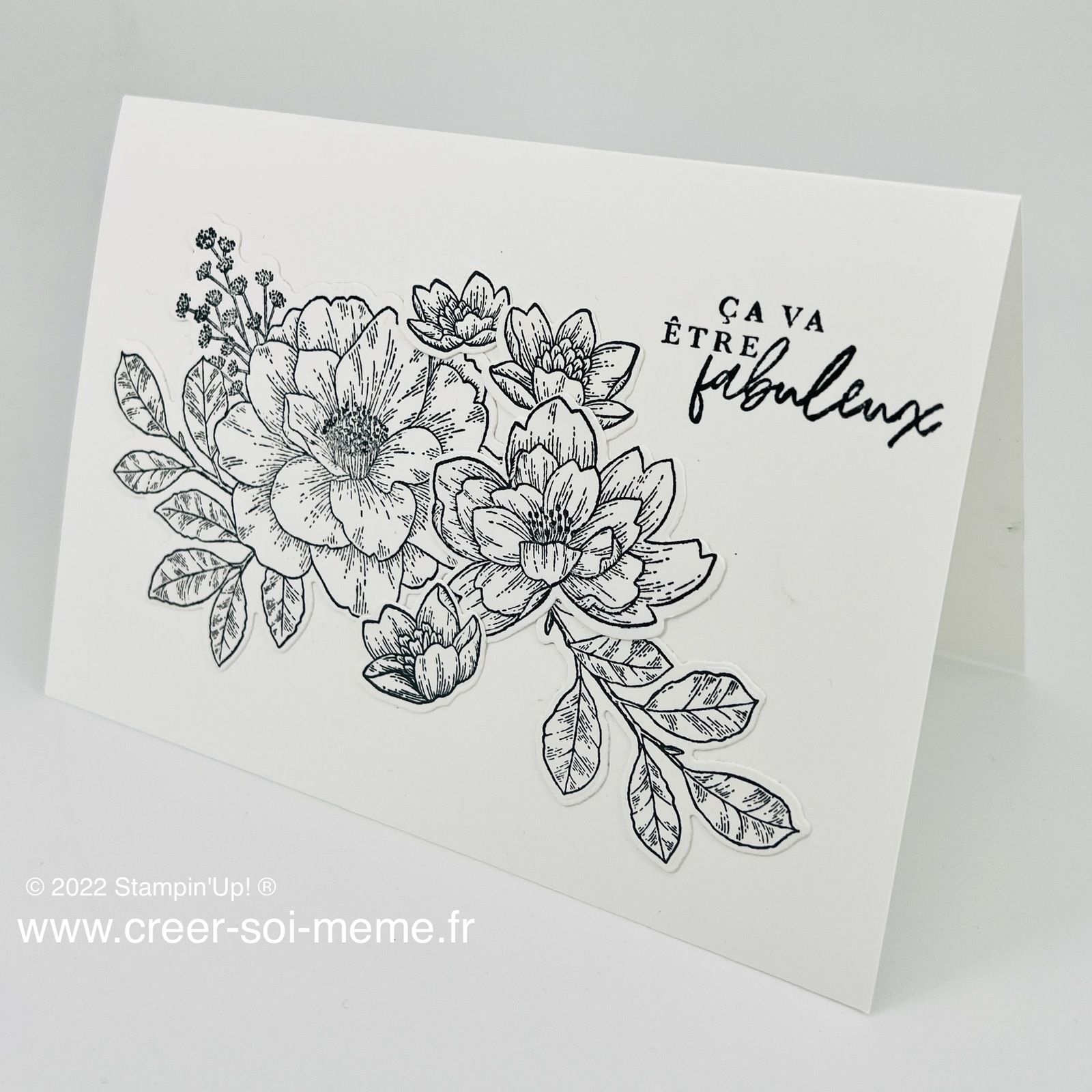 lot rose du cottage 159049 scrap carterie n&B