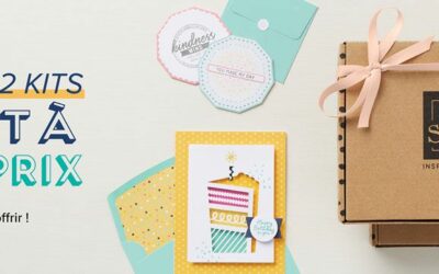 1 kit acheté, le second à moitié prix