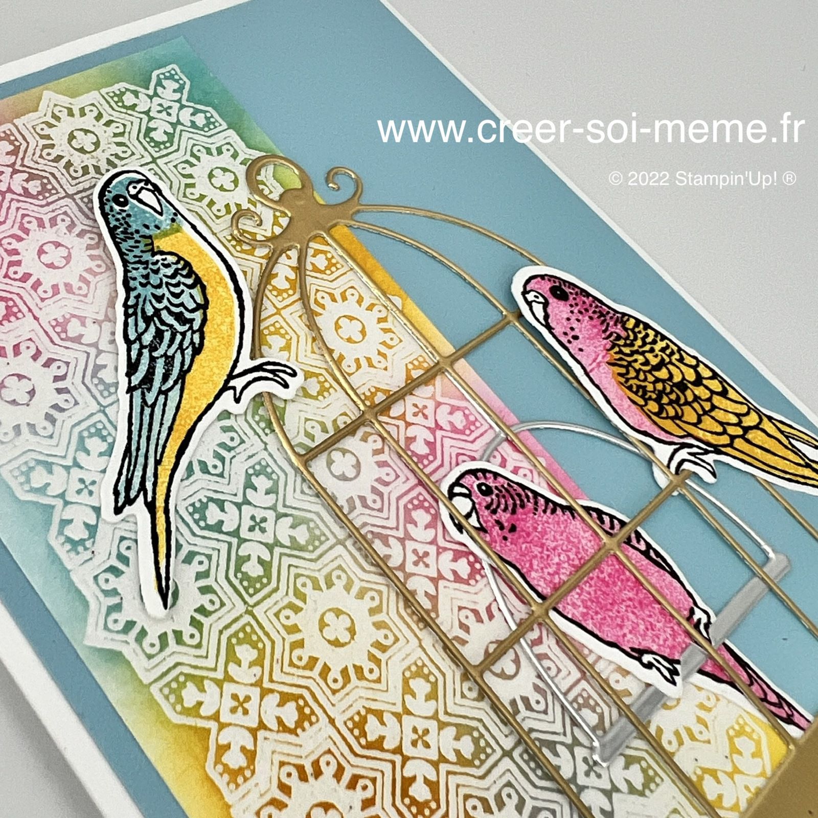 poinçons cage oiseaux perroquet perruche nature stampinup