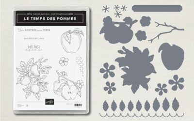 La pomme est à l&rsquo;honneur