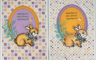 Avez vous reçu votre catalogue Stampin&rsquo;Up!?