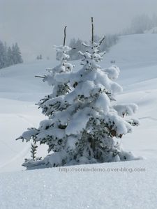 les saisies sous la neige