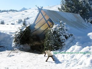 les vikings debarquent aux saisies