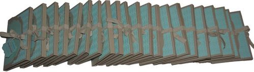 mini album salt lake city 2013