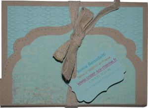 mini album salt lake city july 2013