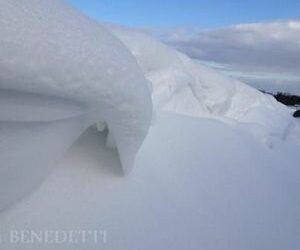 Plus que 8 jours pour en profiter….