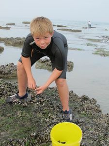 nicolas rammasse moule le prtel