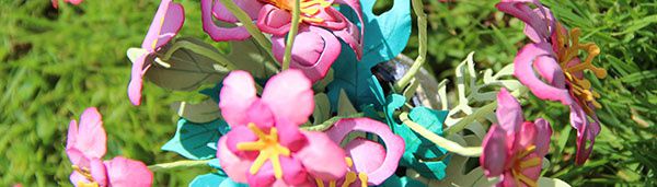 Des fleurs pour la paix!