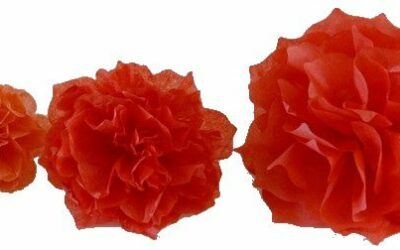 De jolies fleurs pour le corso fleuri du Havre