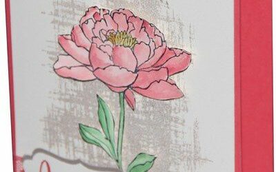 Un nouveau set de tampons…