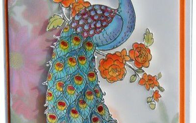 Paon et encres liquides…..