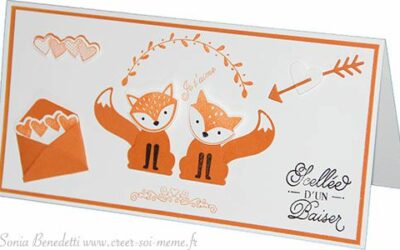 Des renards se s&rsquo;aiment!