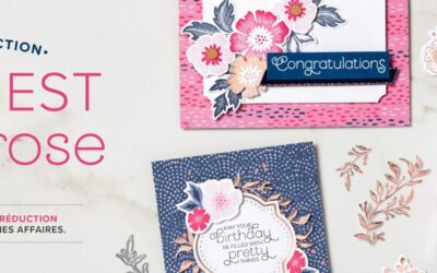 Tout est plus rose avec une réduction !