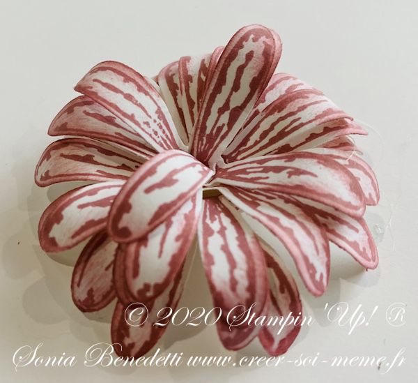 marguerite stampin up perforatrice pour confectionner des fleurs