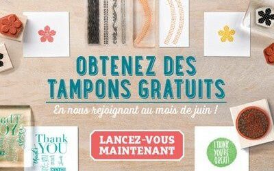 Les avantages de devenir démonstratrice avant le 30 juin 2015!