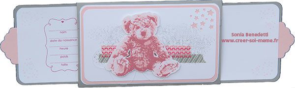 Blog Hop des Créatives en Août: Les bébés!