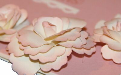 Le soleil est de retour en Normandie…