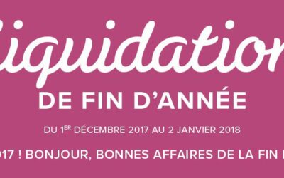 Par ici les bonnes affaires!