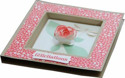 Mes swaps pour Madeire