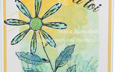 Jolie fleur à découvrir en juin