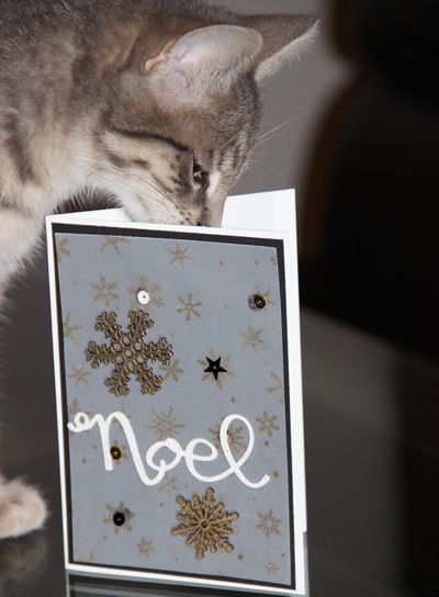 Noël c'est dans à peine plus d'un mois