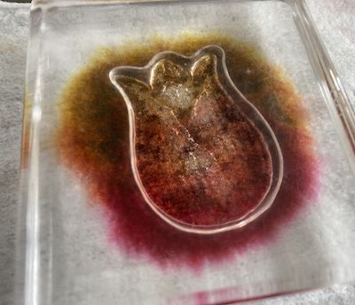 tulipe stampin up avec dégradé de couleurs du rose au jaune