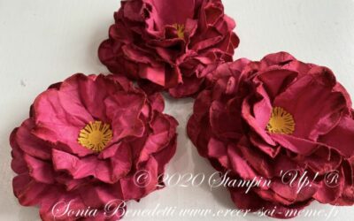 3/7 astuce fleur: pivoine