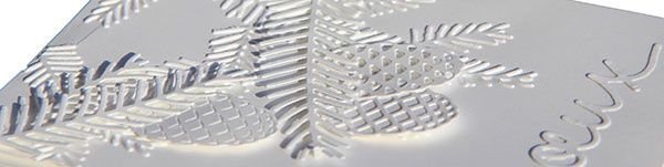 Branches et pommes de pin by Stampin'Up!