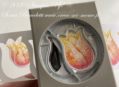 tampon et perforatrice assortie pour un bel effet avec Stampin'Up!