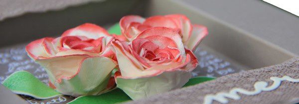 Carte roses en 3d