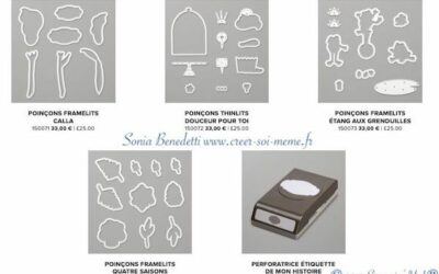 Découvrez les produits coordonnés aux produits Sale-a-Bration!