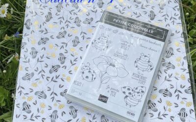 Et si nous fêtions le déconfinement….