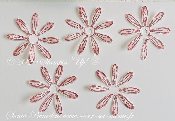 faire de jolies fleurs de marguerite avec du papier et la perforatrice marguerite Stampin Up