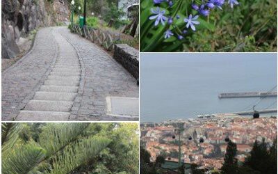 Madère – Jour 2, jardin botanique et dîner