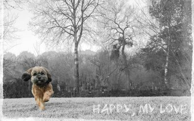 Travail d&rsquo;une photo