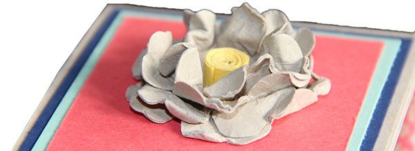 La boîte twisted avec les nouveautés