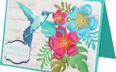 Je m’imagine sur une île au soleil…..