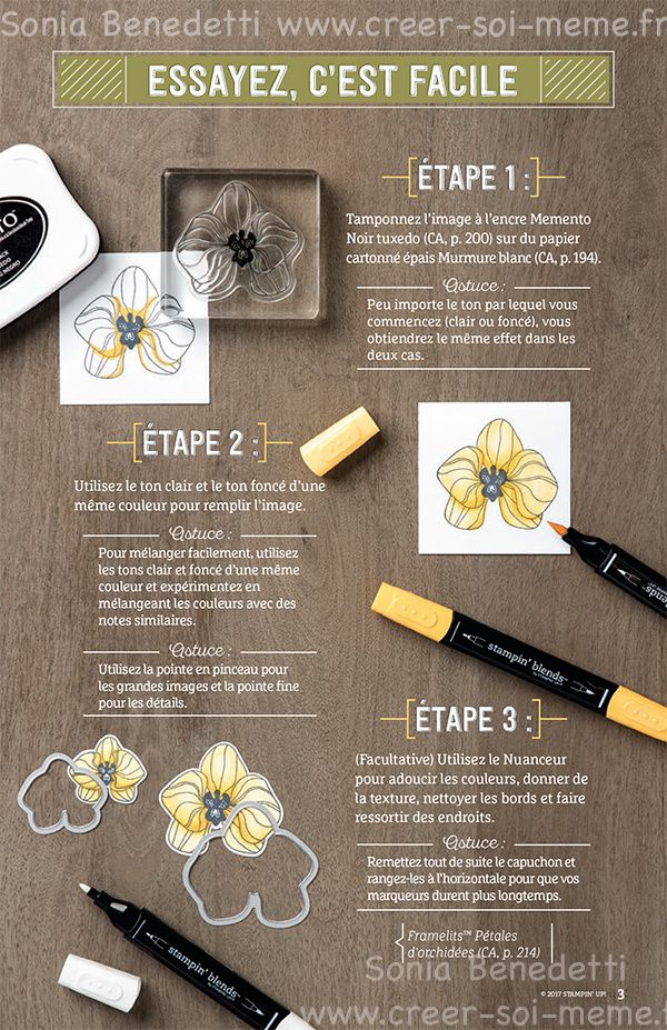 C'est le jour J! Colorisation avec feutres à alcool